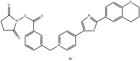 1-[3-(SUCCINIMIDYLOXYCARBONYL)BENZYL]-4-[2-(3,4-DIHYDRO-2H-1-BENZOPYRAN-6-YL)-5-OXAZOLYL]PYRIDINIUM BROMIDE