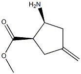 Cyclopentanecarboxylic acid, 2-amino-4-methylene-, methyl ester, cis-(-)- (9CI)