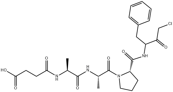 succinyl-alanylalanyl-prolyl-phenylalanine chloromethylketone
