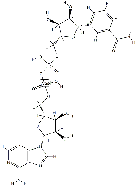 benzamide adenine nucleotide