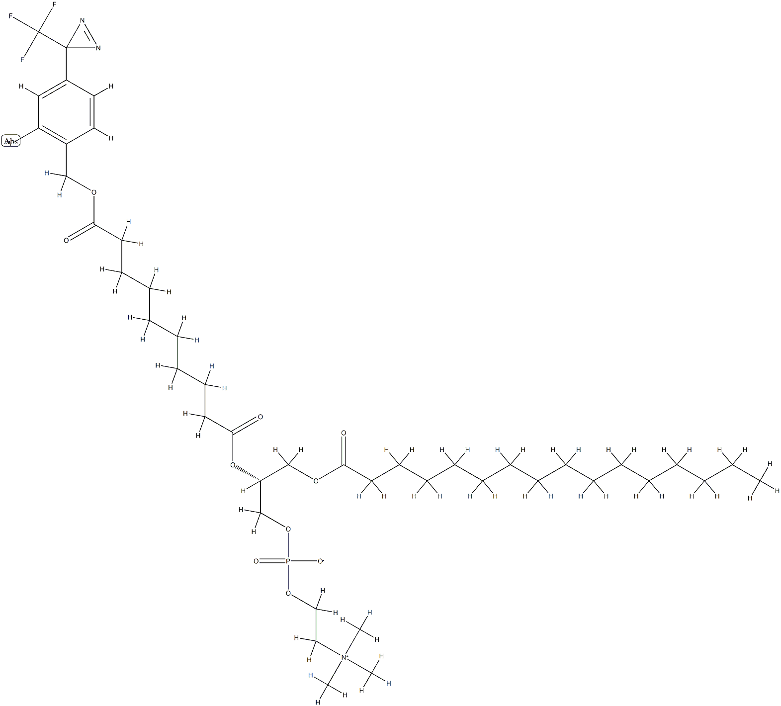 (14R)-17-羟基-1-[2-(碘 125)-4-[3-(三氟甲基)-3H-双吖丙啶-3-基]苯基]-N,N,N-三甲基-3,12-二氧代-14-[[(1-氧代十六烷基)氧基]甲基]-2,13,16,18-四氧杂-17-磷杂二十烷-20-铵内盐 17-氧化物