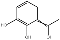 1,3-Cyclohexadiene-1,2-diol, 6-(1-hydroxyethylidene)- (9CI)