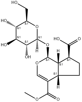 11-Methylforsythide