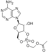 腺苷3`,5`-环内单磷酸酯乙酰氧甲基酯