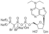 6-N,N-二乙基-Β-Γ-二溴亚甲基-D-腺苷E-5'-三磷酸钠水合物