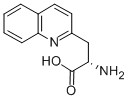 (S)-2-氨基-3-喹啉-2-丙酸