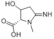 Proline, 3-hydroxy-5-imino-1-methyl- (9CI)
