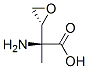 Oxiraneacetic acid, alpha-amino-alpha-methyl-, (R*,S*)- (9CI)