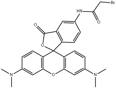 5-[Bromoacetamido]tetramethylrhodamine