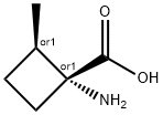Cyclobutanecarboxylic acid, 1-amino-2-methyl-, trans- (9CI)