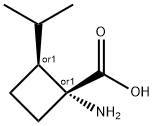 Cyclobutanecarboxylic acid, 1-amino-2-(1-methylethyl)-, trans- (9CI)