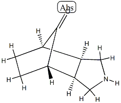 4,7-Methano-1H-isoindol-8-one,octahydro-,(3a-alpha-,4-bta-,7-bta-,7a-alpha-)-(9CI)