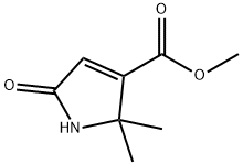 2H-Pyrrol-2-one, 4-acetyl-1,5-dihydro-5,5-dimethyl- (9CI)