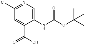 5-BOC-氨基-2-氯吡啶-4-甲酸
