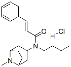 (E)-N-butyl-N-(8-methyl-8-azabicyclo[3.2.1]oct-3-yl)-3-phenyl-prop-2-e namide hydrochloride