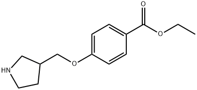 4-(Pyrrolidin-3-ylmethoxy)-benzoic acid ethyl ester