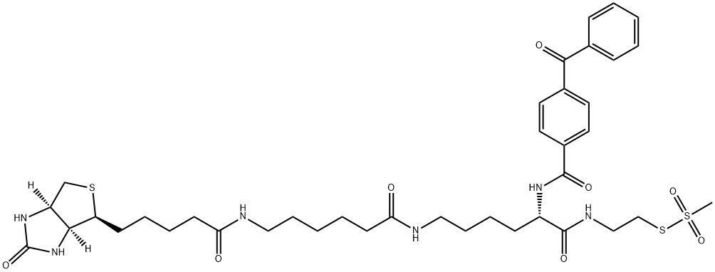 2-[Nα-Benzoylbenzoicamido-N6-(6-biotinamidocaproyl)-L-lysinylamido]ethyl Methanethiosulfonate
