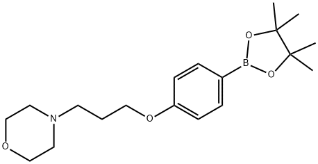 4-(3-吗啉丙氧基)苯基硼酸频哪醇酯