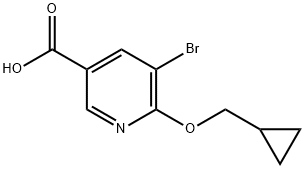 5-bromo-6-(cyclopropylmethoxy)nicotinic acid
