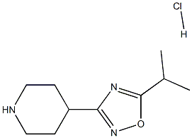 5-异丙基-3-(哌啶-4-基)-1,2,4-恶二唑盐酸盐