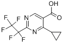 4-CYCLOPROPYL--2-PENTAFLUORO ETHYL-PYRIMIDINE-5-CARBOXYLIC ACID