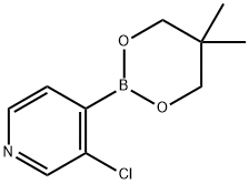 3-CHLOROPYRIDINE-4-BORONIC ACID, NEOPENTYL GLYCOL ESTER