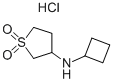 Cyclobutyl-(1,1-dioxo-tetrahydrothiophen-3-yl)-amine hydrochloride