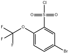 5-溴-2-(三氟甲氧基)苯-1-磺酰氯化